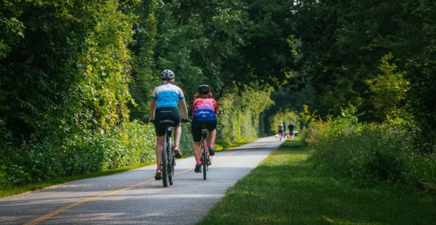 Deux cyclistes sur une piste cyclable bordée d’arbres avec des personnes qui promènent leurs chiens au loin