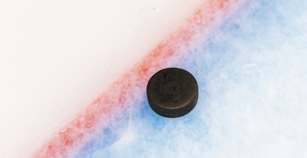 A hockey puck on a goal line