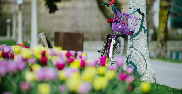 Un vélo appuyé contre un lampadaire avec un parterre de tulipes au premier plan