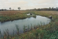 A meandering stream surrounded by newly planted vegetation 